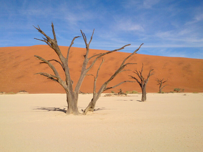 Namibia Sossusvlei-Onkoshi safari Namibia